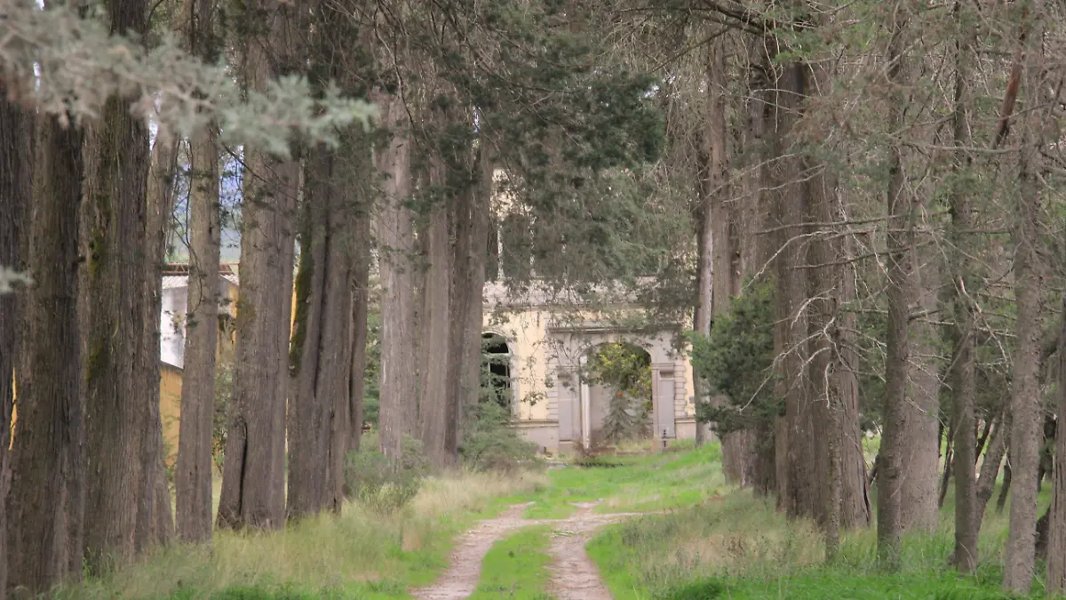 JE01082024211Hacienda San Jose de los Molinos